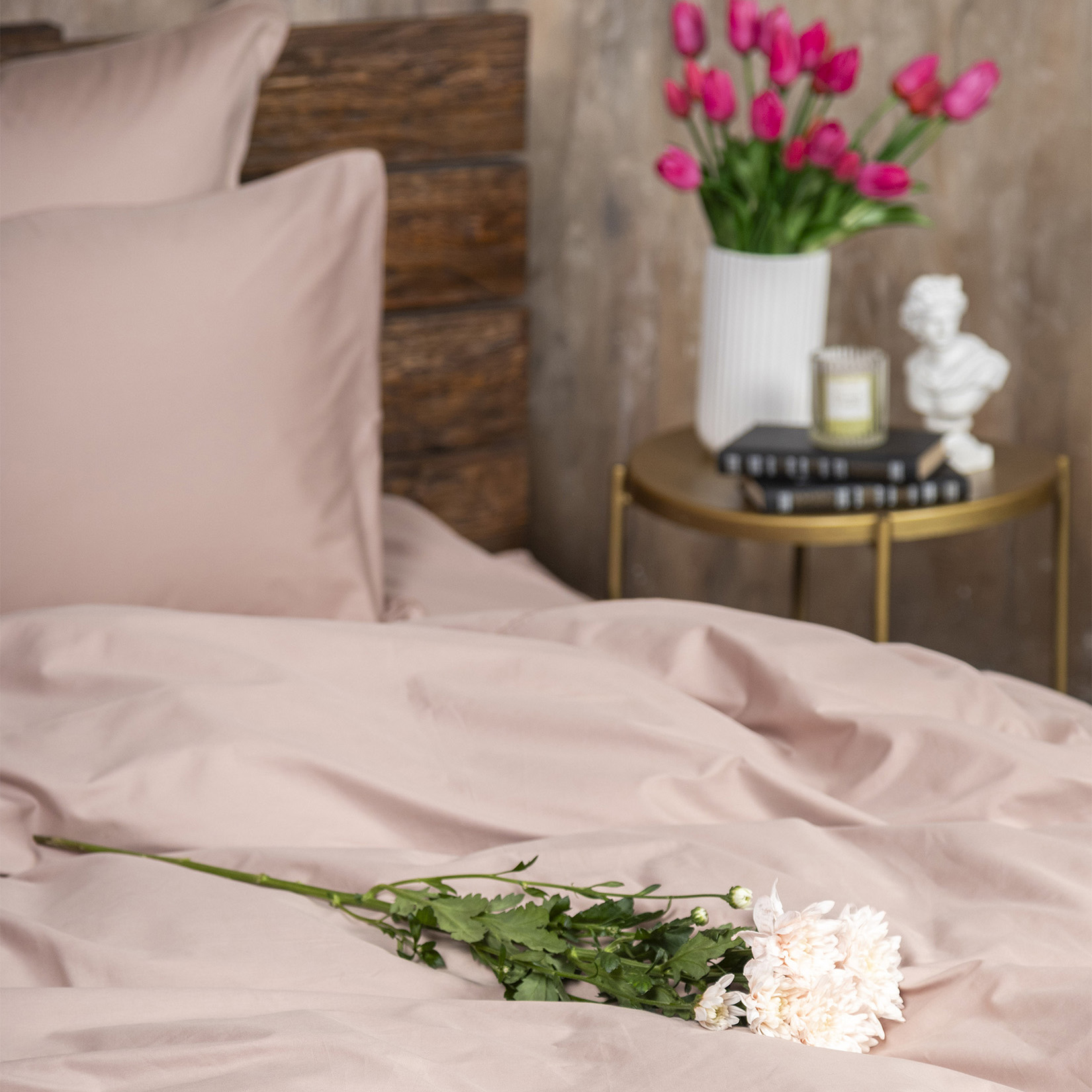 Комплект постельного белья Сатин-Люкс капучино 2-1305