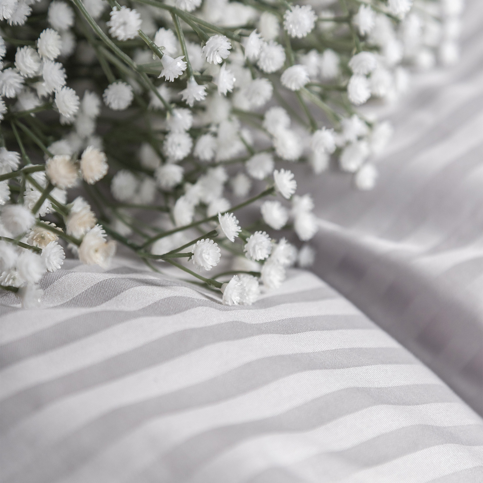 Комплект постельного белья Сатин-Страйп светло-серый 6410