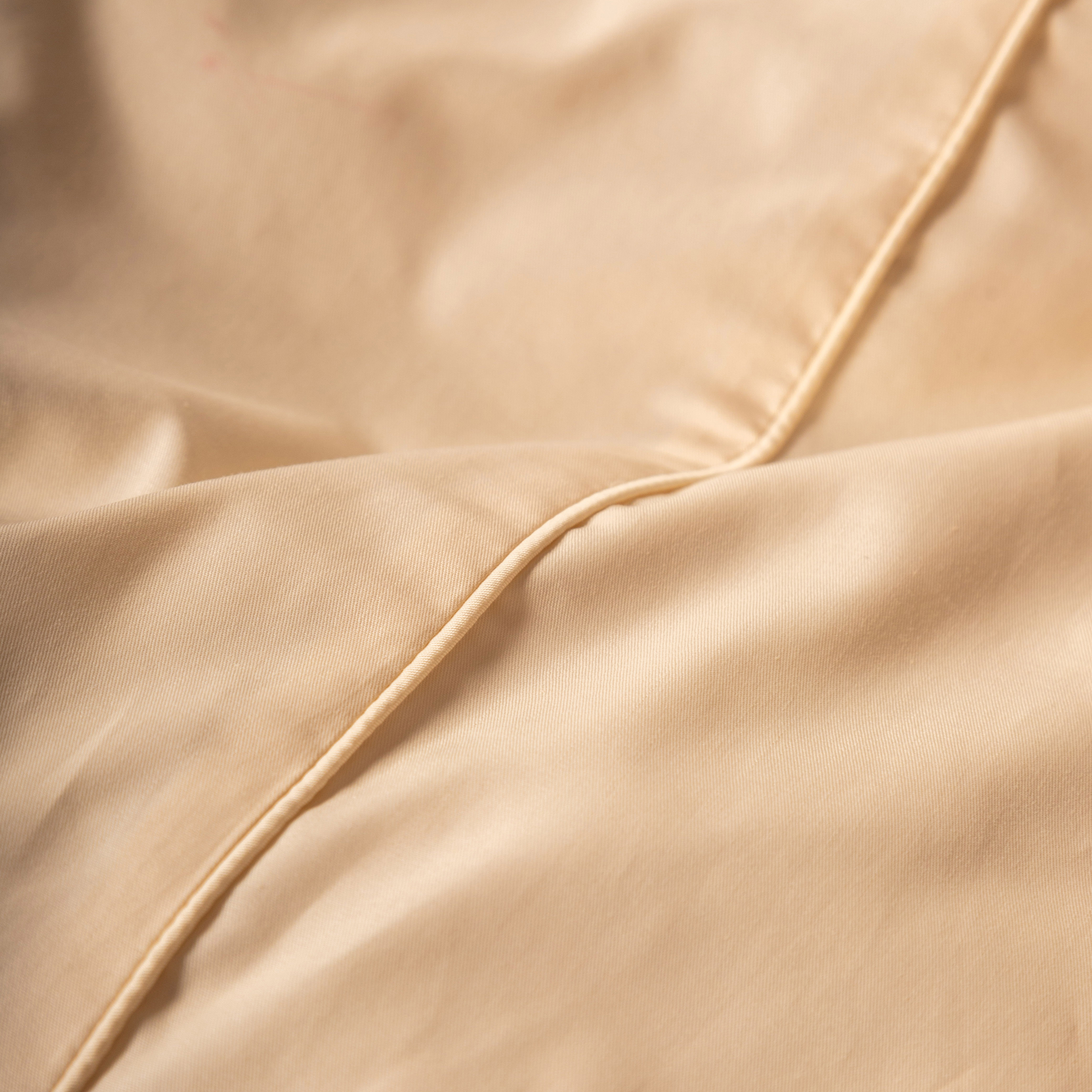 Комплект постельного белья Сатин-Люкс молочный 2-1901