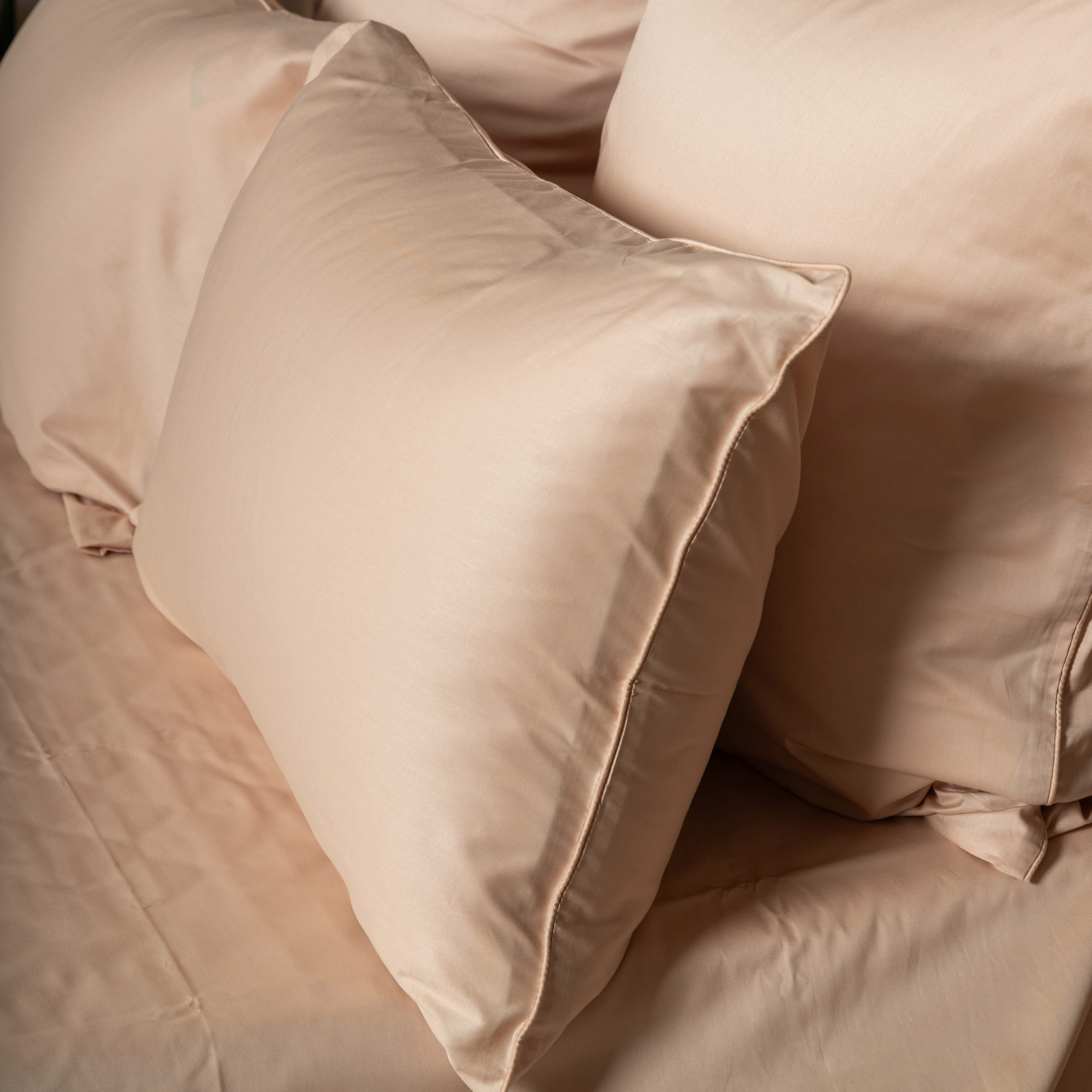 Комплект постельного белья Сатин-Люкс бежевый 2-6821